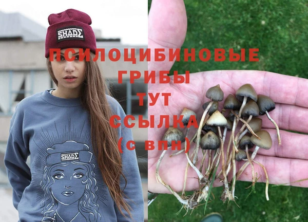 хмурый Краснотурьинск