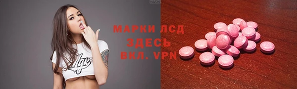 spice Болотное