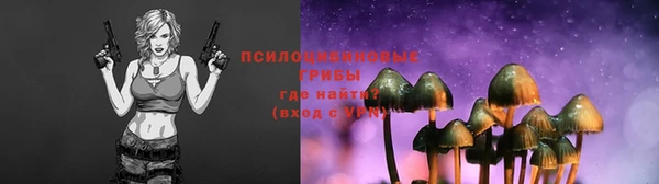 МДПВ Краснослободск